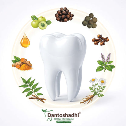 Dantoshadhi Herbal Toothpaste 100g I Safe & Effective